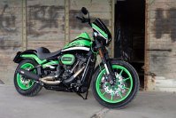 Neumaschine (Custom-Umbau) Low Rider S