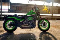 Neumaschine (Custom-Umbau) Low Rider S